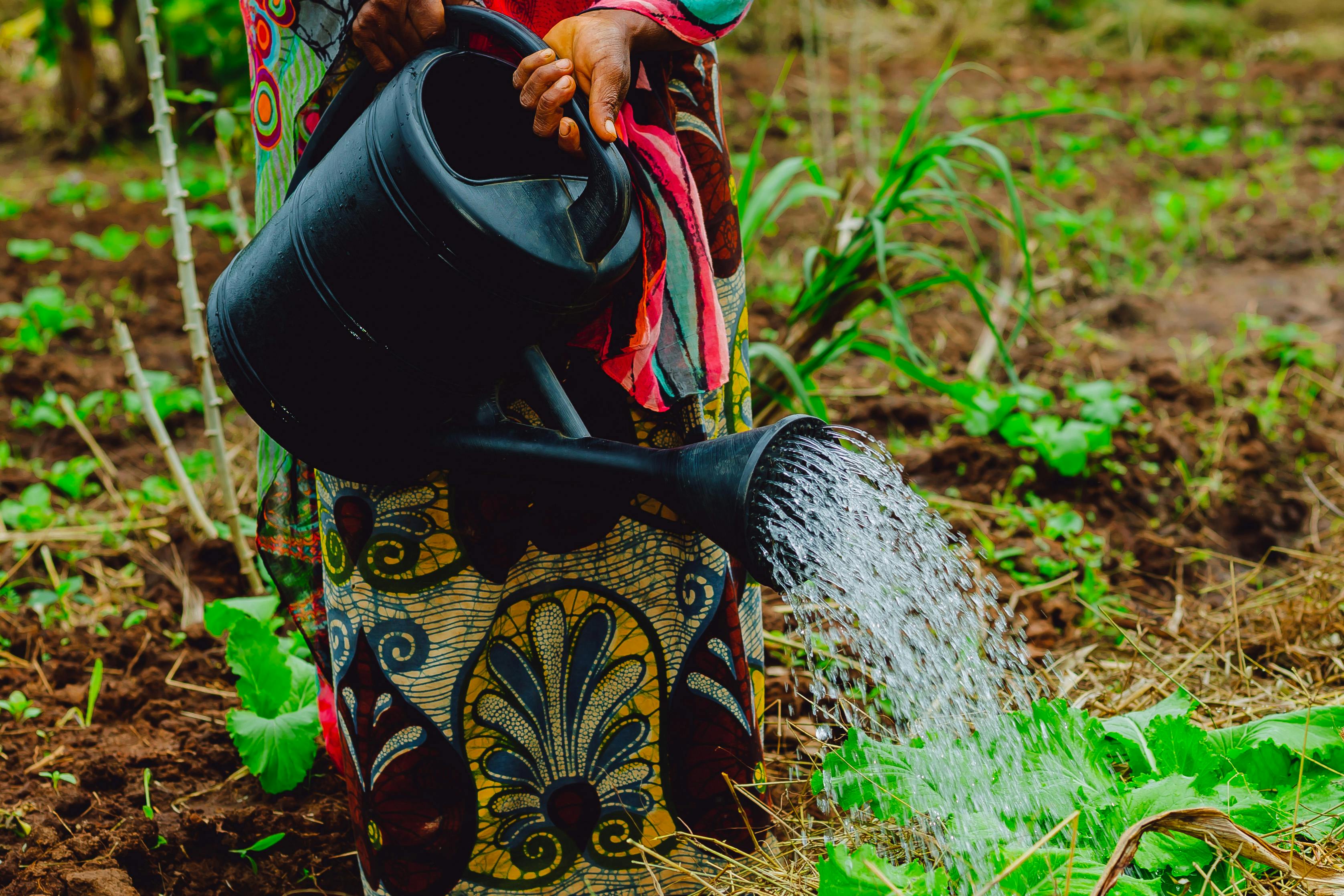 Farmer services